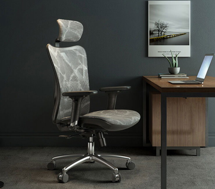 So sánh ghế công thái học sihoo m57 và ghế HyperWork HPW01