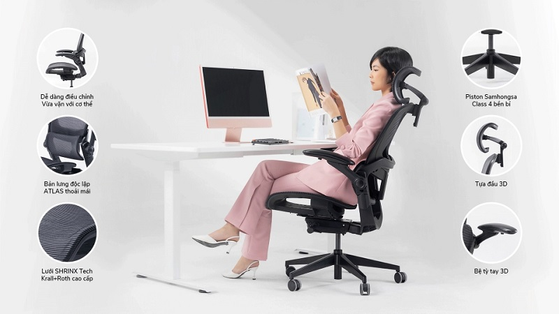 Cách Chọn Ghế Văn Phòng Công Thái Học Phù Hợp Mọi Đối Tượng Sử Dụng