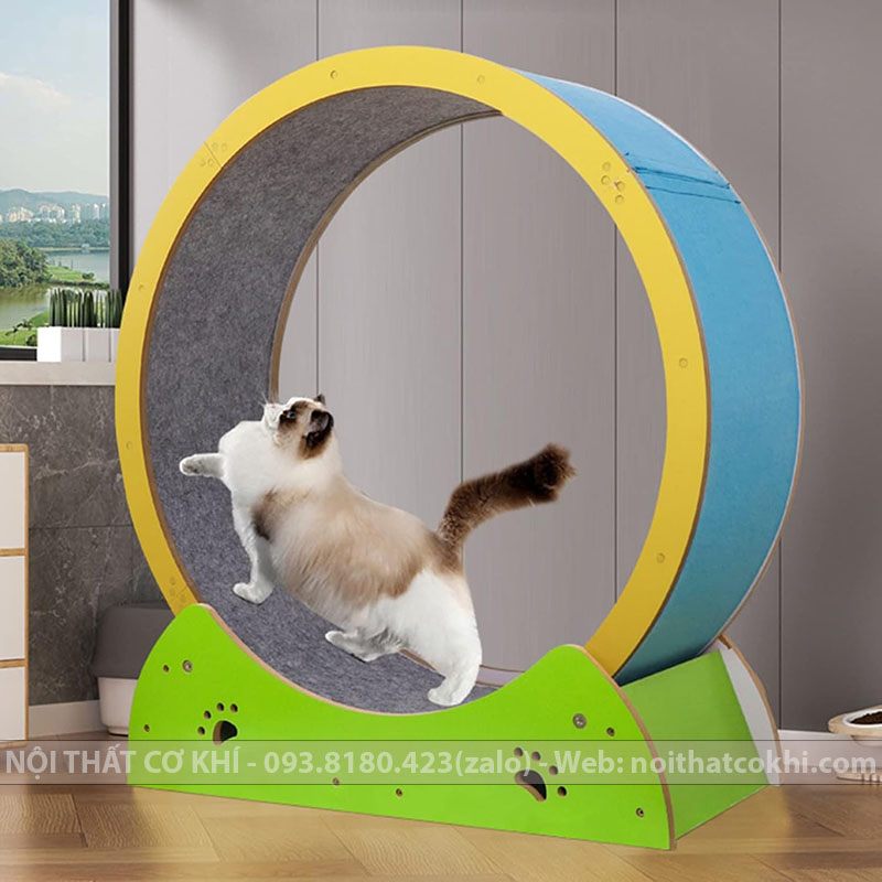 máy chạy bộ cho mèo catwhell